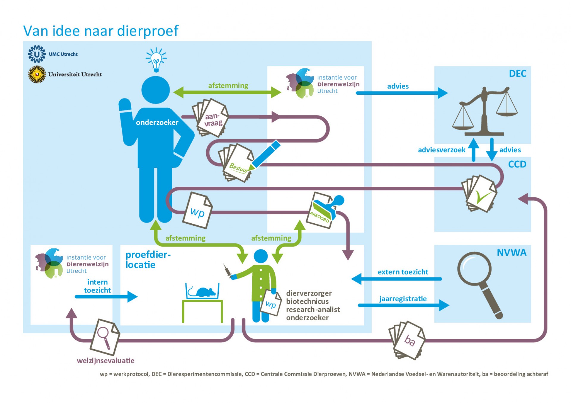 Infographic van idee naar dierproef