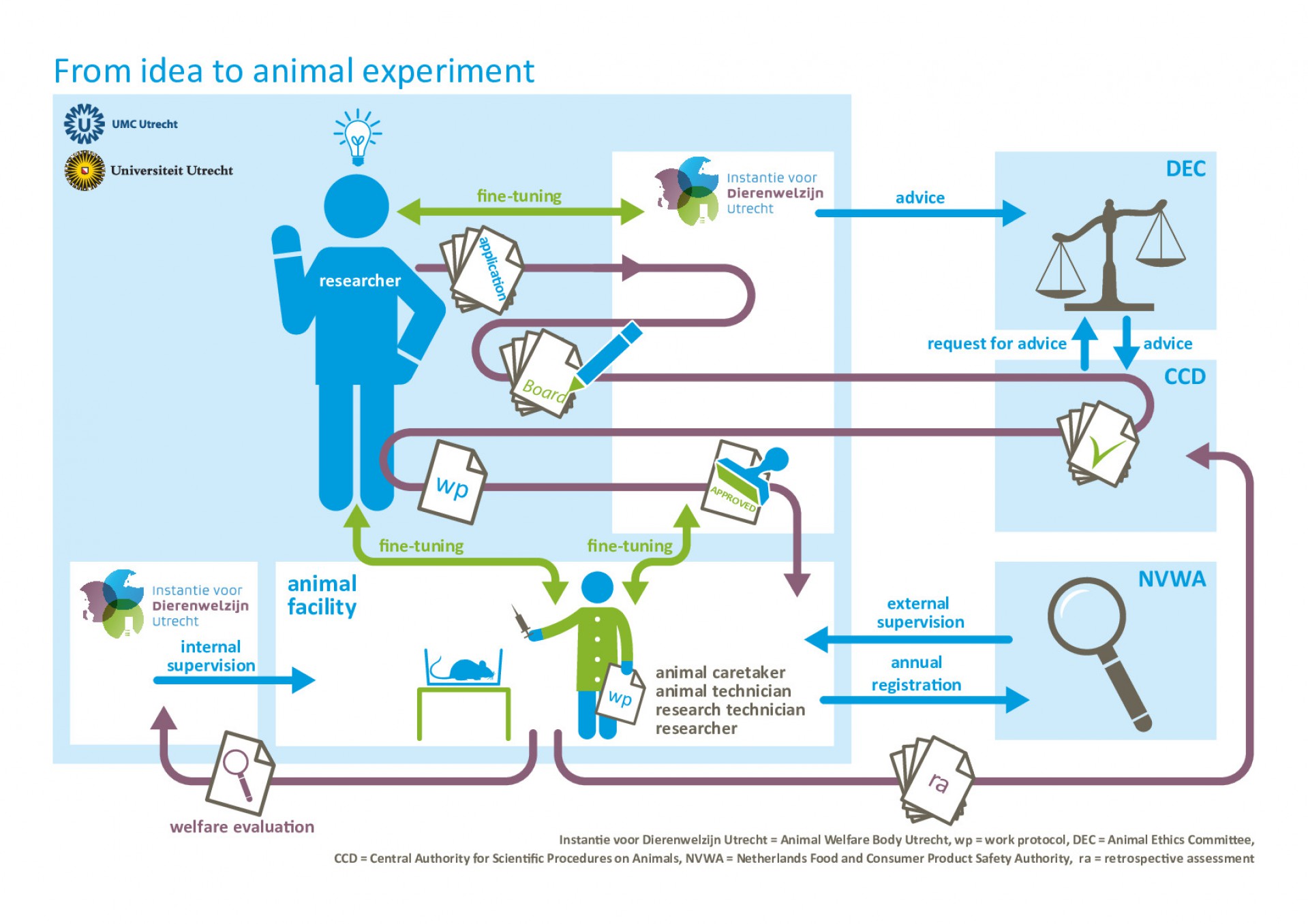 Infographic from idea to animal experiment