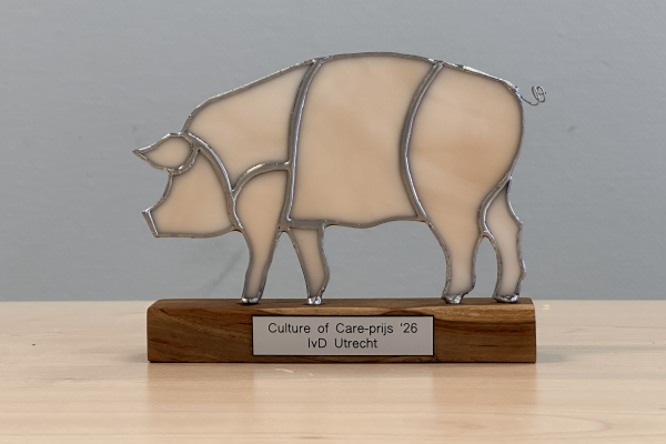 Dit glas-in-lood sculptuur van een varken varken was de Culture of Careprijs 2026