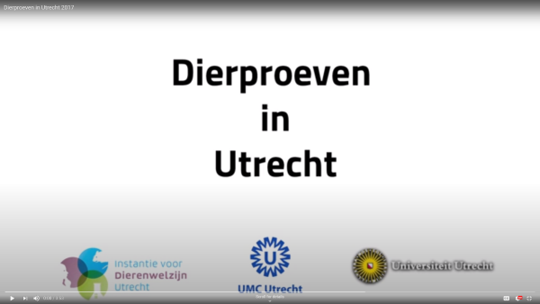 Video Dierproeven in Utrecht